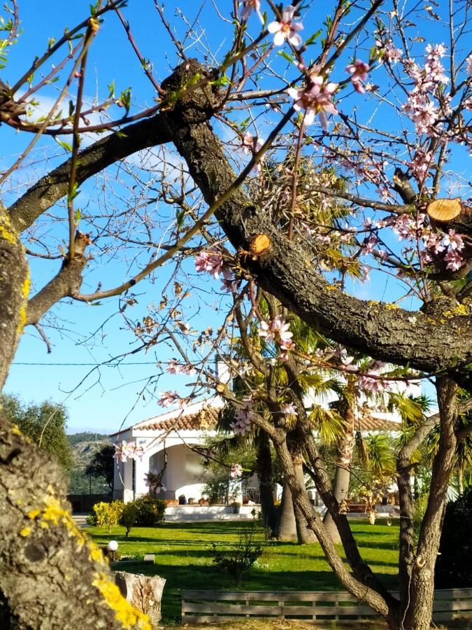 La Tenora Villa Tivenys Bagian luar foto